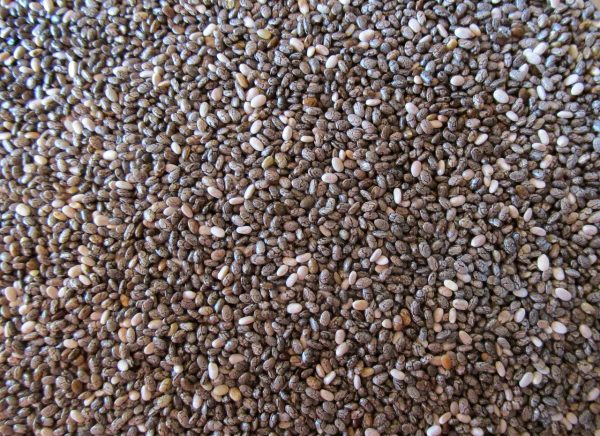 seeds, black, chia-2922758.jpg